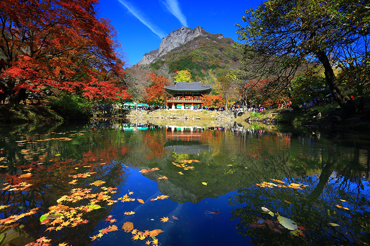 內藏山白羊寺