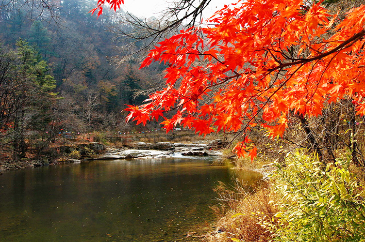 五臺山月精寺