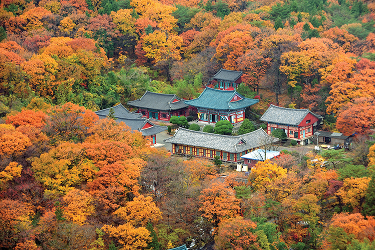 金井山梵魚寺