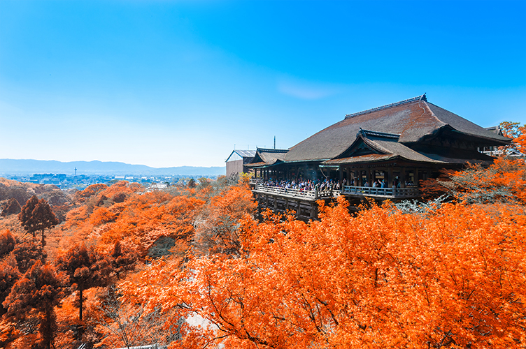 京都清水寺