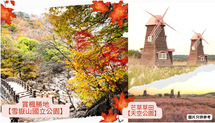 新華旅遊sunflower 網上報團系統online Tour Booking System