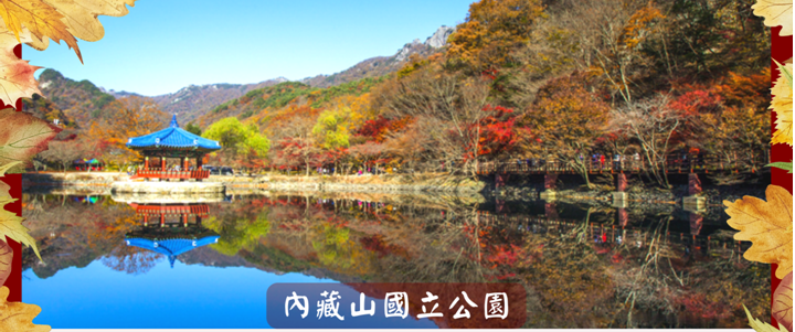 新華旅遊sunflower 網上報團系統online Tour Booking System